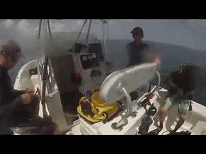 CRYSTAL RIVER SPEARFISHING