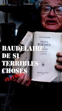 books | Baudelaire, such terrible things