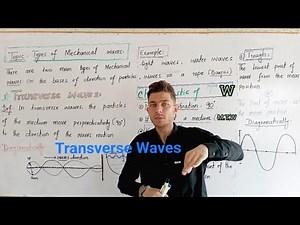 Lec 11: what are Transverse Waves | Concept, Diagram and Examples | Physics Class 10th SHM