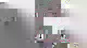 38K views · 317 reactions | Watch this - yesterday's flyby over Tirana viewed from the pilot cockpit inside one of the Italian Aeronautica Militare Eurofighters. Showing NATO's commitment to Albania and its population. #NATO @Ministero della Difesa Ministria e Mbrojtjes | NATO Allied Air Command | Facebook