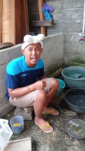 kucing oyen gatal #shorts #funny #trending #viral