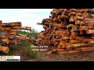 Logging Destroyed Our Mineral Claim!