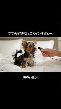 Interview about what you love about your mom 🐶🎤 #Wanju #Wanju #pr