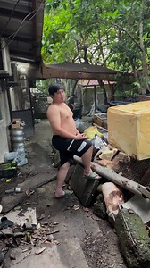 30K views · 2.3K reactions | PSA! IS ANYONE MISSING A SIAMESE CAT? Random side quest popped up here in PR house. Cat has wound on right ear. Black collar. Blue eyes. Brownish fur. Location: Quezon City. Leave a comment if you DMed me about it. Weird, I literally saw a missing siamese cat poster somewhere in social media yesterday. (Please Excuse our humor. This is how me and my friends cope on unexpected scenarios.) | Gian Lois Lanuza Concepcion | Facebook