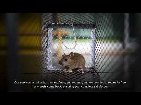 Healthy Home Pest Control Inc