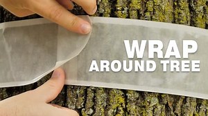 Watch Catchmaster Tree Shield Insect Barrier Kit - Tree Protection on Amazon Live