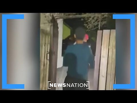 Las Vegas 'giant creature' possible 'alien' video is original: Evidence expert | Banfield