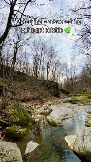 Into the Wild: Steep Trails, Hidden Creek, Wildflowers & Ice Age Giants 🌿🐍