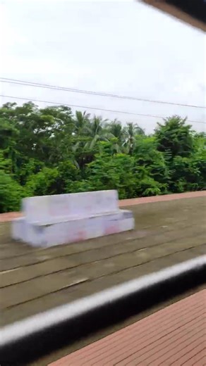 #shorts POV: A Peaceful Journey to Nowhere 🌿 | Train Window Views......