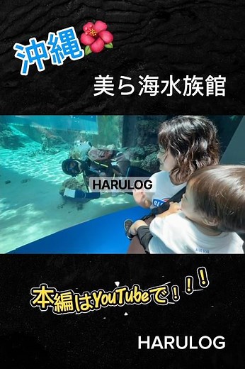 沖縄に来たら絶対行きたい場所🐠🌺｜美ら海水族館