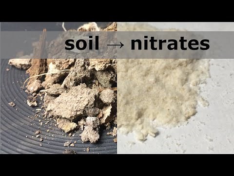 Extraction of Nitrates from Soil (The Old Way of Producing Saltpeter)