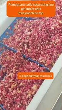 How to Make Frozen Pomegranate Aril Seed for High Quality#pomegranateseeds
