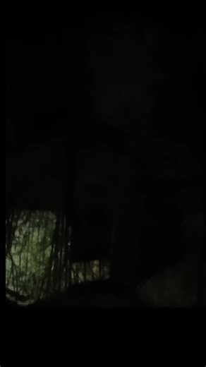 Yes, the Romans are on my property. I have not seen one person mention this, YET... When it happens to you, don't say I didn't warn you.... I have stressed the importance of all of this and I hope you understand and read descriptions fully.. The ROMAN GODS are HERE!! #ROMANEMPIRE #antichrist #prophecy #sumeriangods #christisking