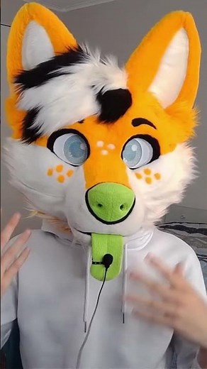 What I learned about furry social media