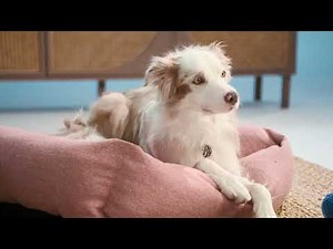 Reconnect with Life’s Precious Sounds | Boots Hearingcare