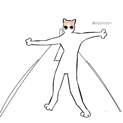 Can You Guess What Cat Can Do?