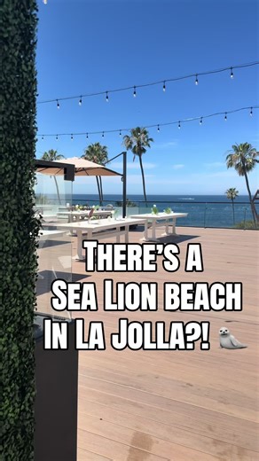 #tiktokgotriplaunch La Jolla Cove #hotel is so tranquil and perfect for your next #vacation. You can walk outside and hear the ocean, and it’s the best spot right across from the famous sea lion beach. You can see the cliffs, relax on the rooftop, and just be completely in that coastal vibe. The views here are unreal, especially in the morning, and it really feels like such a peaceful little escape. I love that you can walk to everything, but it still feels quiet and relaxing. They even have #Va