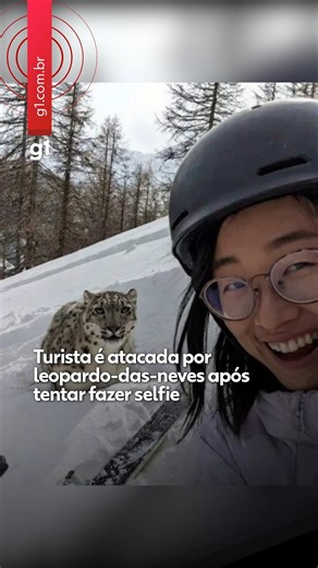 📍China - Uma turista foi atacada por um leopardo-das-neves em uma estação de esqui no noroeste da China após tentar tirar uma selfie com o animal. O caso ocorreu em 23 de janeiro e ganhou repercussão nos últimos dias. O ataque aconteceu quando a esquiadora descia uma pista no condado de Fuyun, na região de Xinjiang. Segundo a imprensa local, ela seguia em direção ao hotel quando o animal saltou de uma área de mata. Ainda de acordo com a mídia chinesa, a turista se aproximou para tirar foto, qua