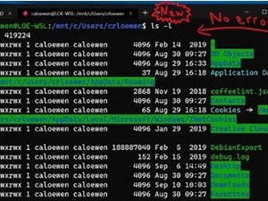 Microsoft's new Windows 10 20H1 test build adds ARM64 support for WSL