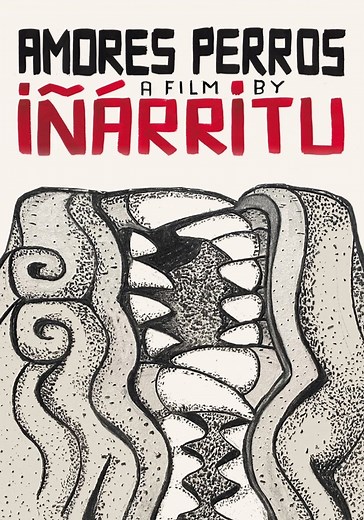 Amores Perros streaming: where to watch online?