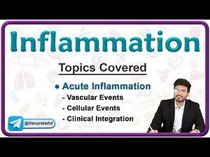 Acute Inflammation Vascular and Cellular events with Clinical integration 💥 - Pathology Lecture 3