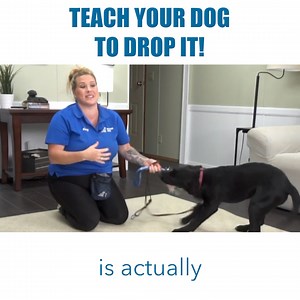 43K views · 500 reactions | One skill we focus on at the beginning of...