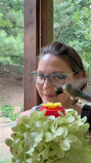 Hummingbirds and flowers 🌺 #justjamie