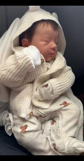 ebay reborn dolls australia | Vanessa beautiful babies doll