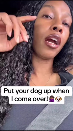 Because, where you see a dog? This is a resident. #dogsoftiktok #maltipoo #memestiktok #fyp #CapCut