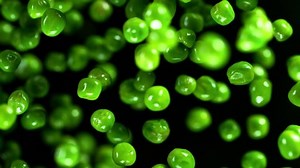 Fresh Green Peas Exploding Shot High 库存影片视频（100% 免版税）1049766253 | Shutterstock