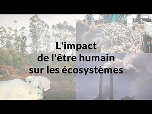 The impact of humans on ecosystems