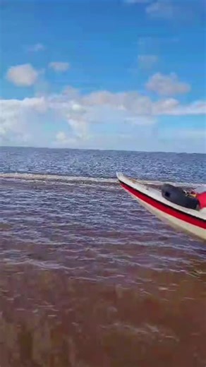 Explore Essequibo: Unforgettable Travel Experience in Guyana