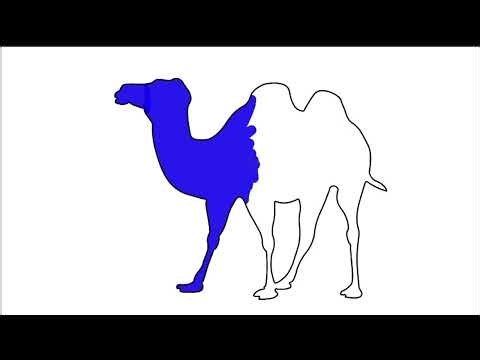 how to draw camel for kids