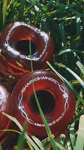 Yojany Perez Signature shark wheel formula | Shark Wheel