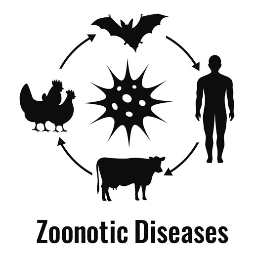 Recent Pandemic Viruses Jumped to Humans Without Prior Adaptation, UC San Diego Study Finds - Animal Health News and Views