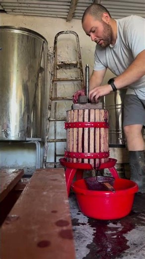 Traditional grape pressing - slow extraction for quality wine 🍇
