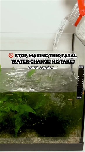 Here are 4 fatal water change errors every aquarist should avoid—and how to fix them!