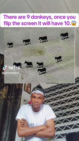 Mind-Blowing Donkey Math Trick Revealed!