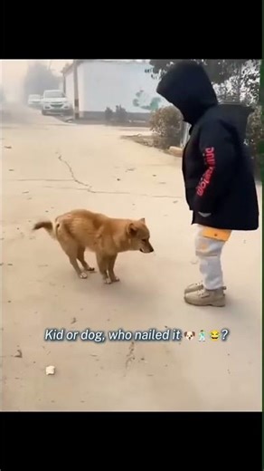 Child Dancing With Dog Adorable Playful Duo - CreatureCops