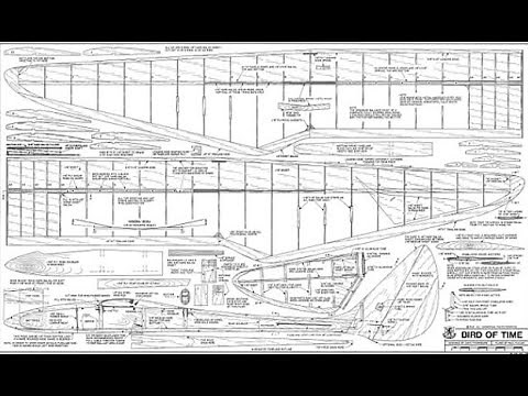 Bird of Time build part 1