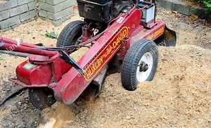 What to Do with Sawdust from Stump Grinding: 11 Cool Ideas - StuffSure