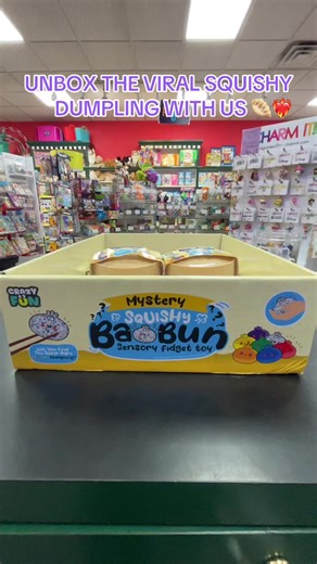 Get Your Mystery Squishy Dumpling at Learning Express Newton!