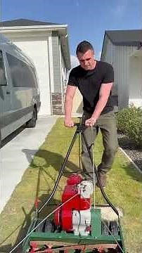 Improving my lawn with sand #lawncare