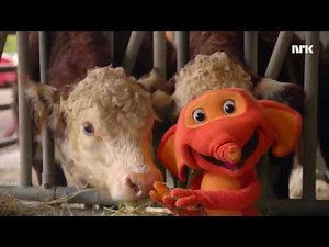 Fantorangen - Kua mi