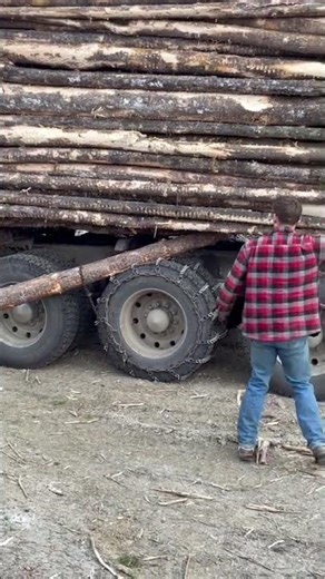 Old Logger Trick