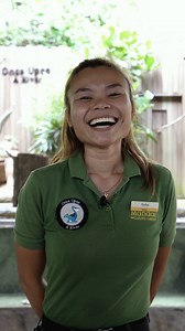 1.9M views · 4.9K reactions | The world may know of Justin Bieber,...