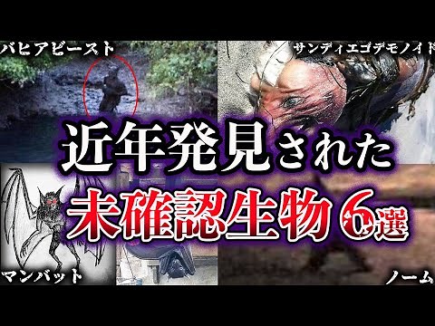 【ゆっくり解説】近年発見されたUMA・未確認生物６選【Part2】