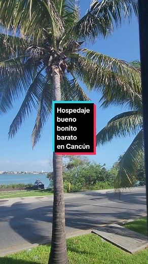 Smart by oasis una excelente opción de hospedaje si visitas Cancún ✨️ #hospedaje #cancun #viral #tiktok #travel #viajar #viajarbarato #playa #hotel #smartbyoasis #smart #keniaos #recomendaciones #reviews