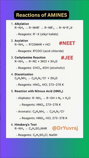 🔥 Amines Class 12: Crack NEET 2025 MCQs in 8 Seconds! 🧪