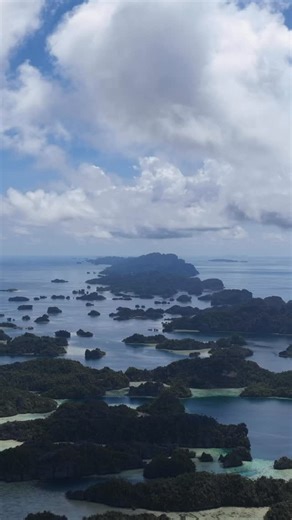Justin Hofman on Instagram: "This species of Papuan spotted jelly lives in open water but can also become isolated in marine lakes when larvae flow in through the porous limestone rock. Once in the lake they lose the need for stinging cells and become essentially stingless when compared to individuals of the same species that live outside of the lakes. Gently snorkeling through these pulsing blobs was a real highlight from my time in Raja Ampat #indonesia #rajaampat #jellyfish @eyosexpeditions"